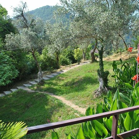 Villa Oliva New Athos Eksteriør bilde